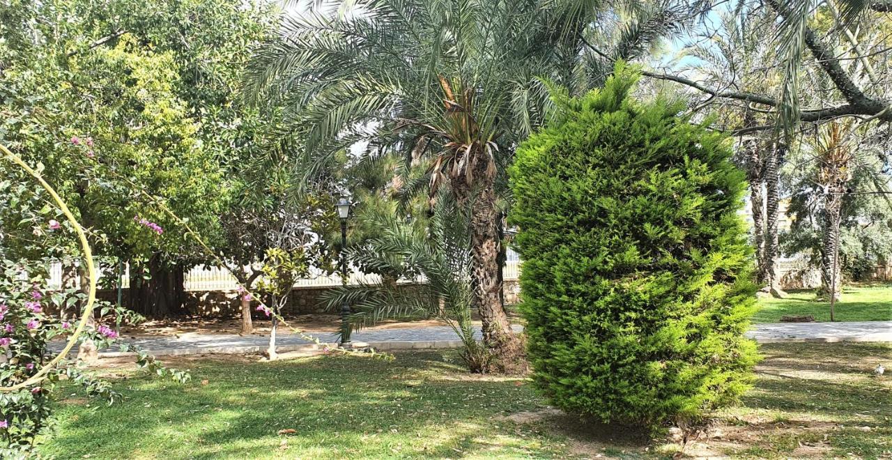 Ecaterina Apartment Torrevieja Eksteriør bilde