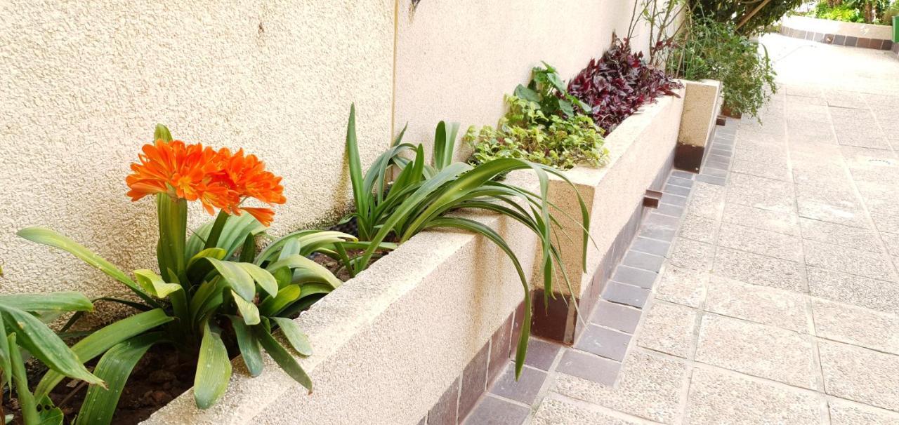 Ecaterina Apartment Torrevieja Eksteriør bilde